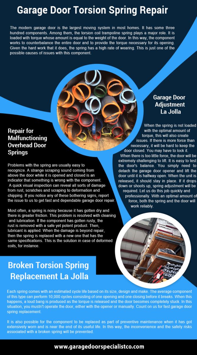 Garage Door Repair La Jolla Infographic
